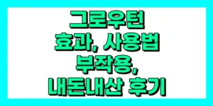 그로우턴 효과, 사용법, 부작용, 내돈내산 후기