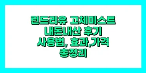 런드리유 고체미스트 내돈내산 후기, 가격, 사용법, 효과