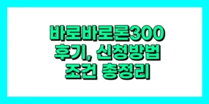 바로바로론300 후기, 신청방법, 종류 총정리