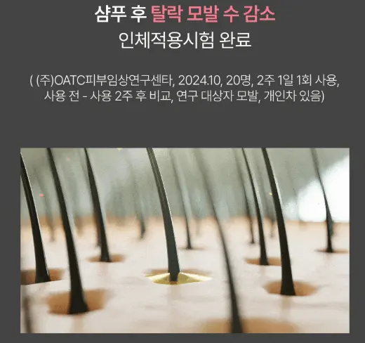 가히 공중부양 샴푸 내돈내산 후기, 성분, 효과, 가격 총정리