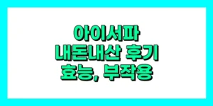 아이서파 내돈내산 후기, 효능 부작용