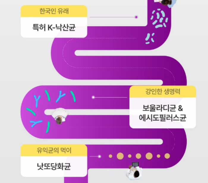 뉴티365 뉴티락 효과, 성분