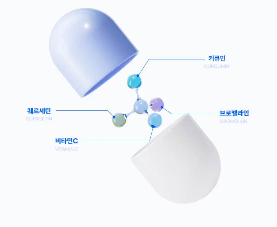 마이디데이 퀘르민 효능 및 성분