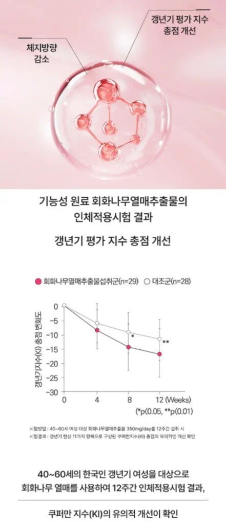 마이디데이 플로라필 효능