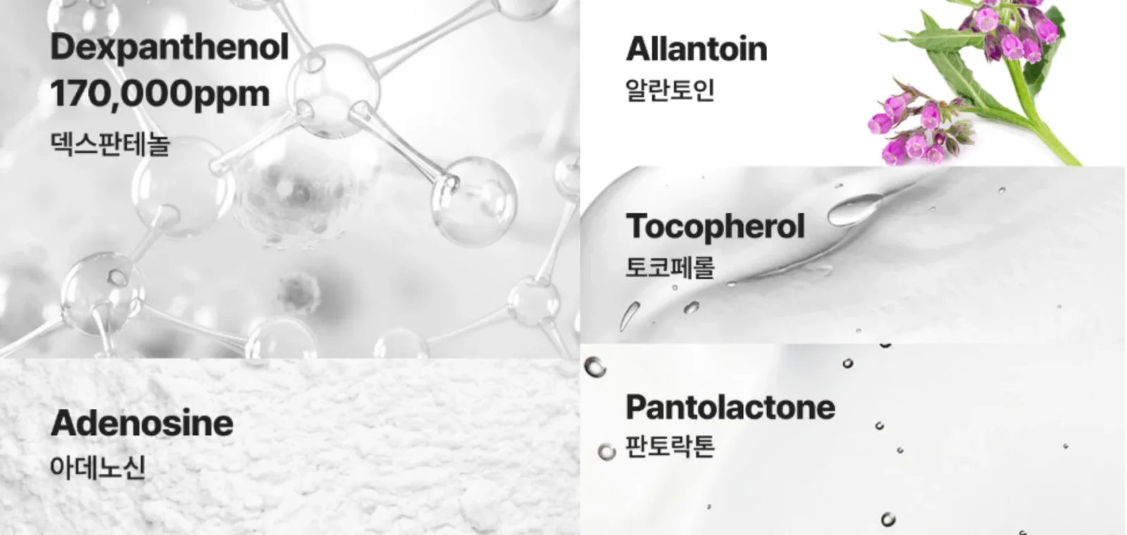 반코르 덱스판테놀 크림 효과 및 성분