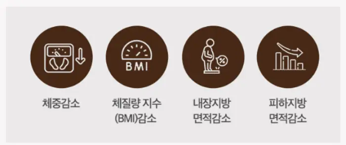 빠질라카노 효과