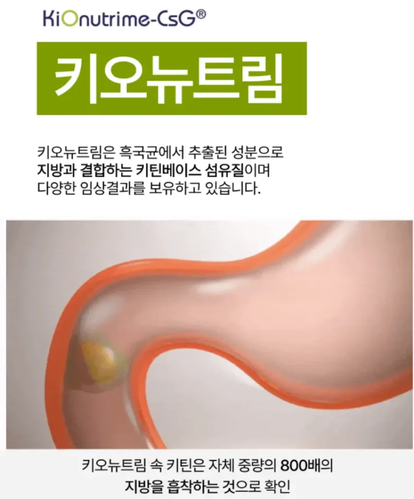 씨코랩 씨코핏 효과