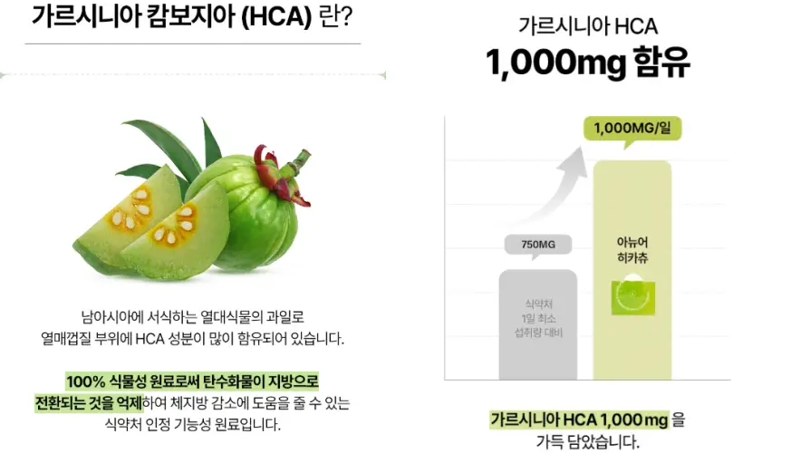 아뉴어 히카츄 후기