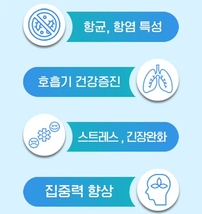 엔드퍼프 효능