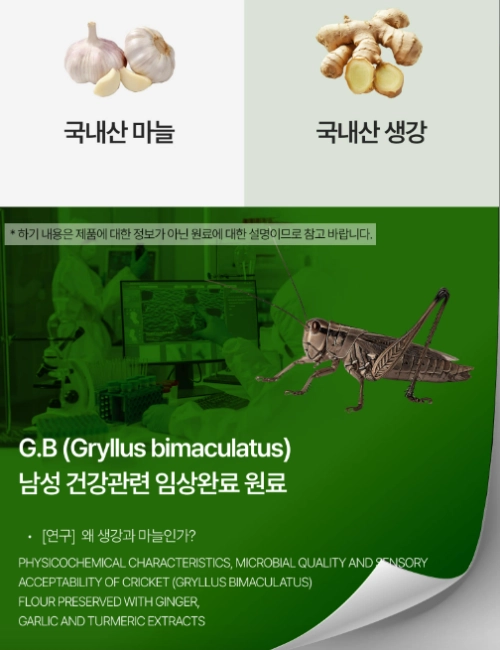 스테론정 효능, 성분