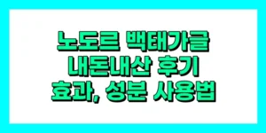 노도르 백태가글 내돈내산 후기, 효과, 성분, 사용법, 가격