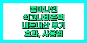 석고나비존팩 내돈내산 후기, 효과, 성분, 부작용, 가격