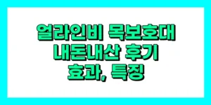 얼라인비 목보호대 내돈내산 후기, 효과, 특징, 사용법