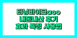 터닝바이크 aco 내돈내산 후기, 효과, 특징, 가격, 사용법 최저가