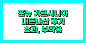 포뉴 가르시니아 내돈내산 후기, 효과, 부작용, 가격