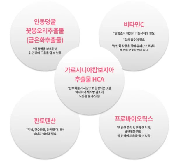 닥터아돌 위디어트 효과, 성분