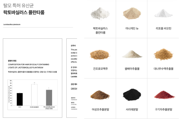 미녹산정 효과, 성분