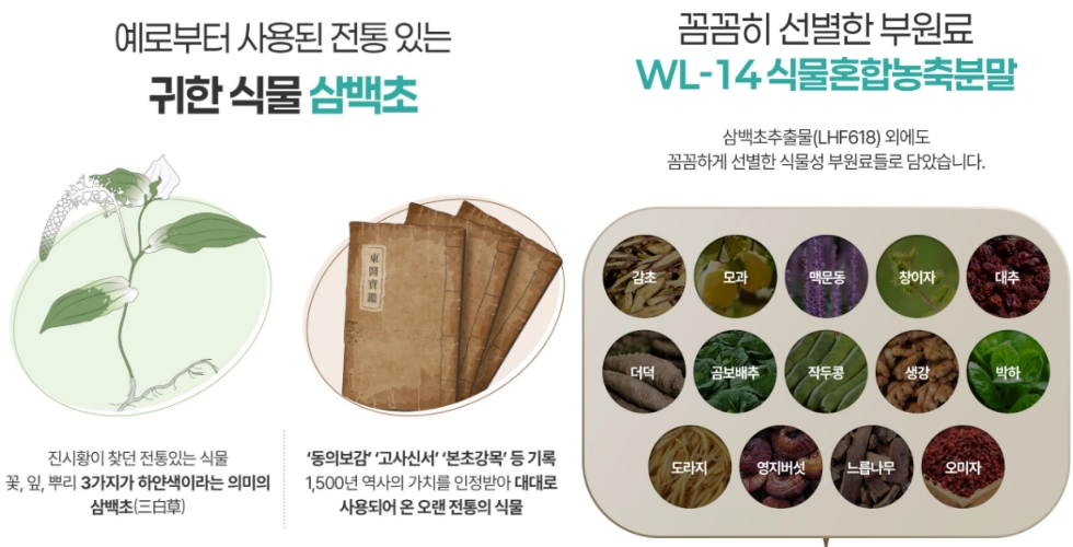 코엔삼백초 효능, 성분