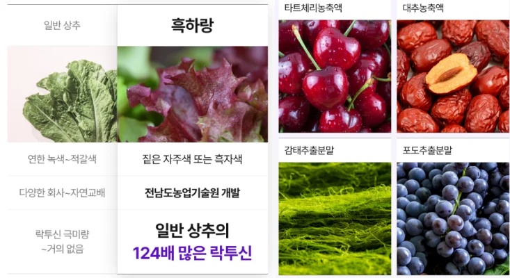 쿠마랑 흑하랑 효능, 성분