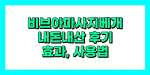 비브아 마사지 베개 내돈내산 후기, 효과, 사용법, 가격
