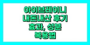 아이브레이니 내돈내산 후기, 효과, 성분, 부작용, 가격