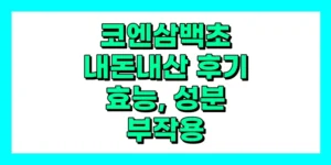 코엔삼백초 내돈내산 후기, 효능, 부작용, 성분