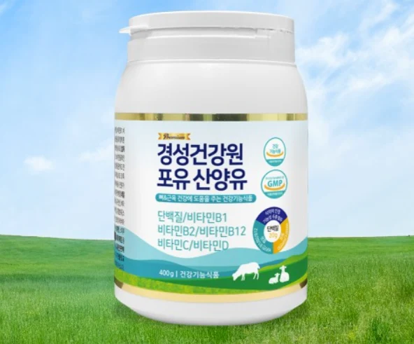 경성포유틴 후기