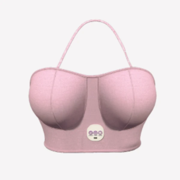 데이젠느 비플업