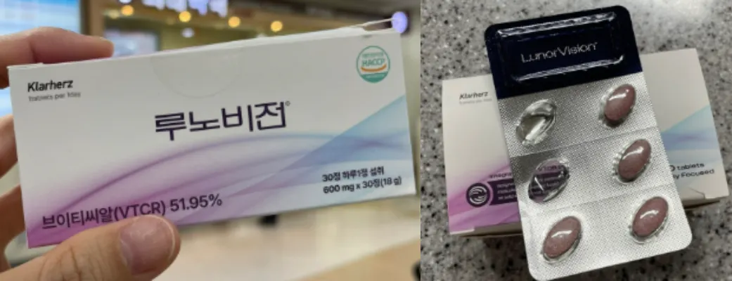 루노비전 후기