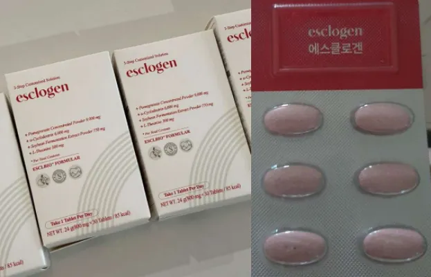 에스클로겐 후기