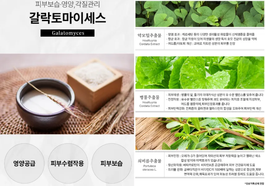퓨브링 미백크림 효과, 성분