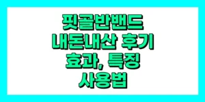 핏골반밴드 내돈내산 후기, 효과, 사용방법, 가격