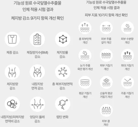 슬림앤글림 효과, 성분