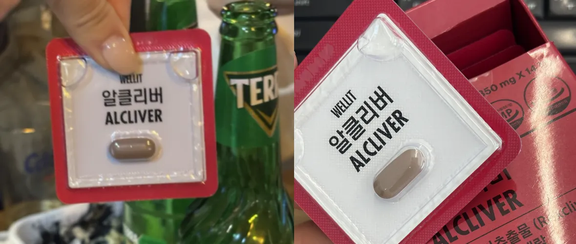 웰릿 알클리버 내돈내산 후기