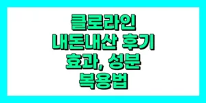 클로라인 내돈내산 후기, 효과, 성분, 부작용, 가격
