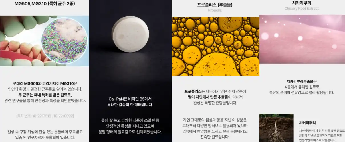 덴톨스 구강유산균 효과, 성분