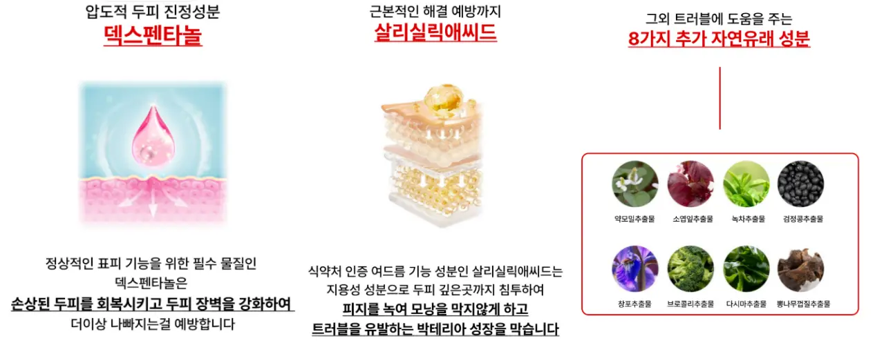안티트로 샴푸 효과, 성분