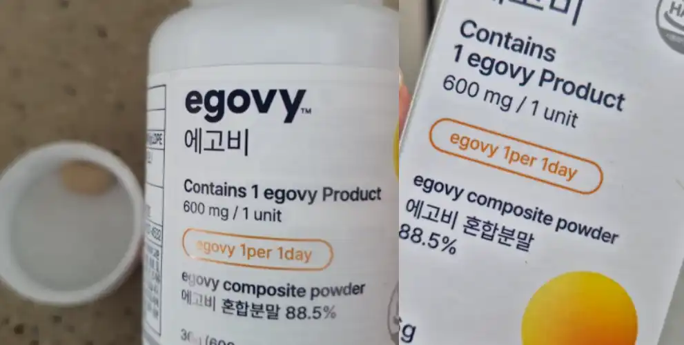 에고비 솔루션 후기