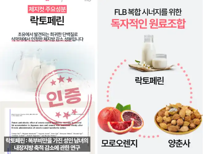 체지컷 효과, 성분