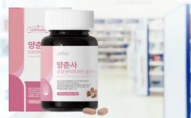 체지컷 후기