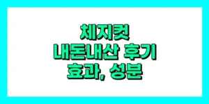 체지컷 내돈내산 후기, 효과, 성분, 부작용, 가격