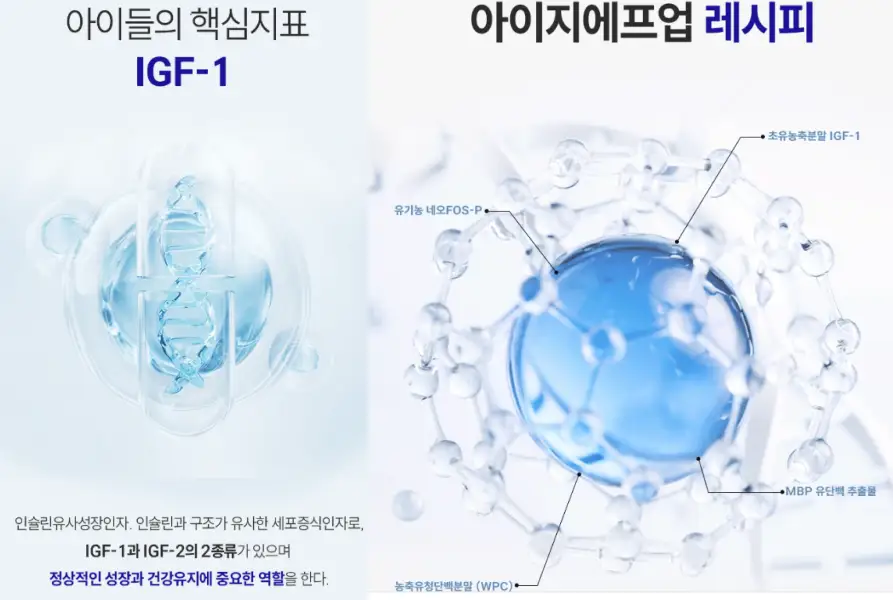 아이지에프업 효과, 성분