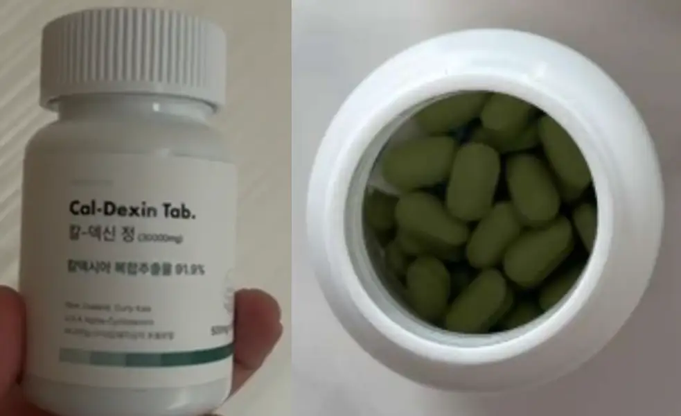 칼덱신정 내돈내산 후기