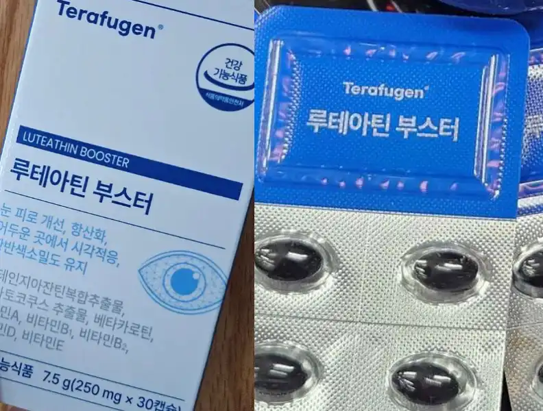 테라퓨젠 루테아닌 부스터 내돈내산 후기