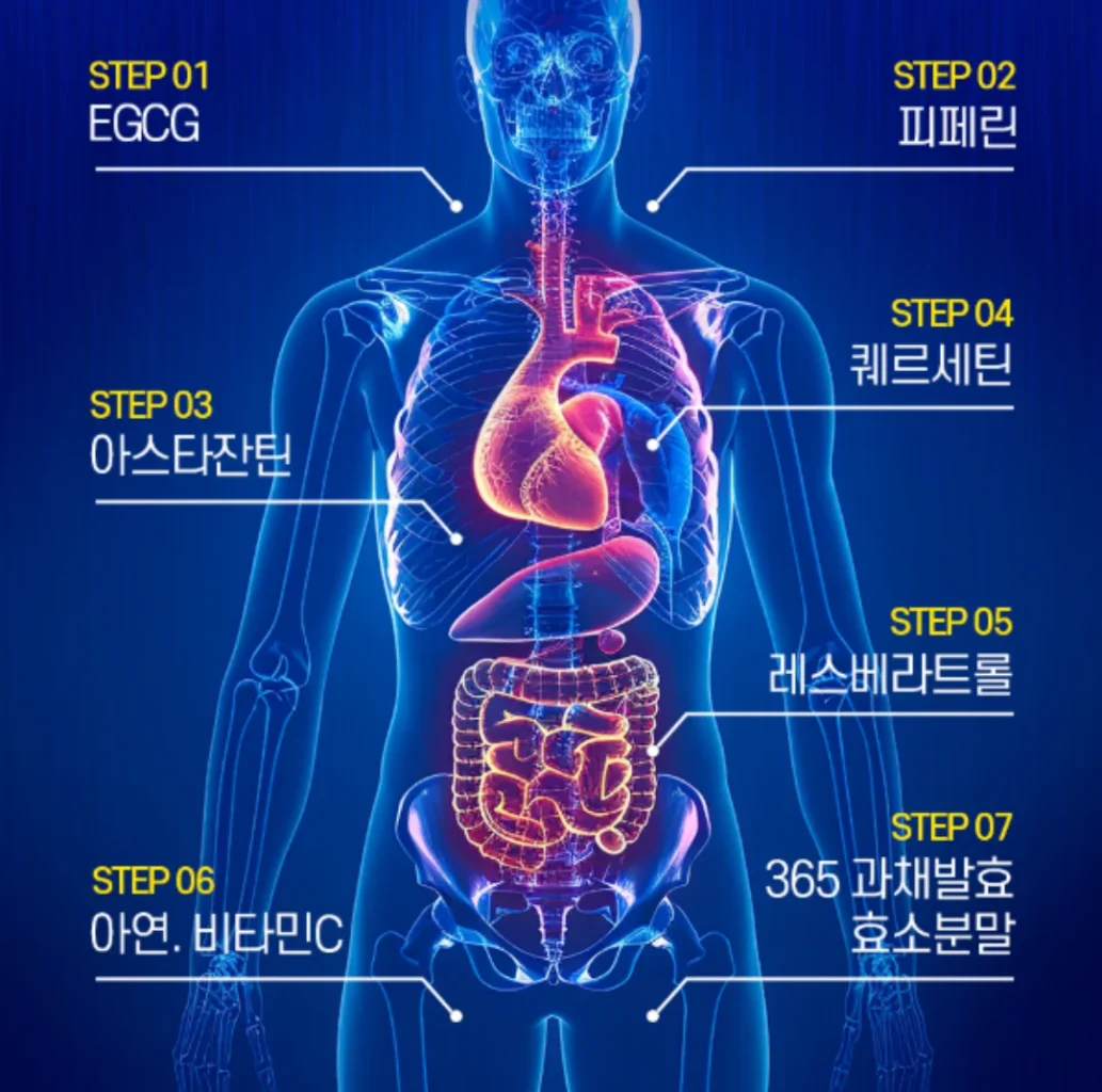 헤르메딕스 효능, 성분