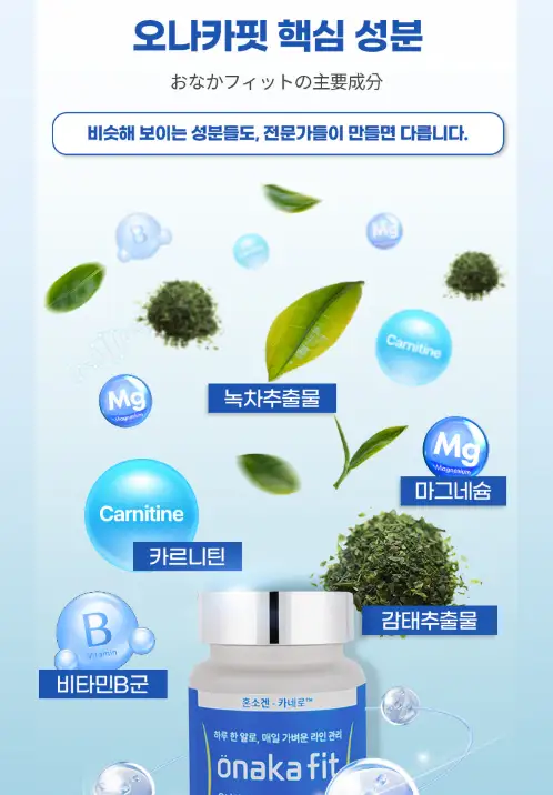 혼소겐 오나카핏 효과