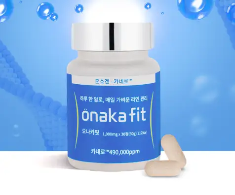 혼소겐 오나카핏