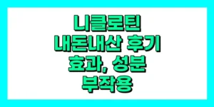 니클로틴 내돈내산 후기, 효과, 성분, 부작용, 가격