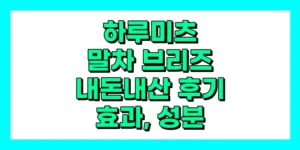 하루미츠 말차 브리즈 내돈내산 후기, 효과, 성분, 부작용, 가격