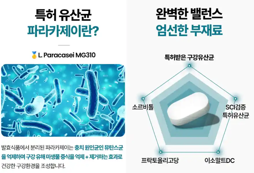 어썸쿨 구강유산균 효과, 성분